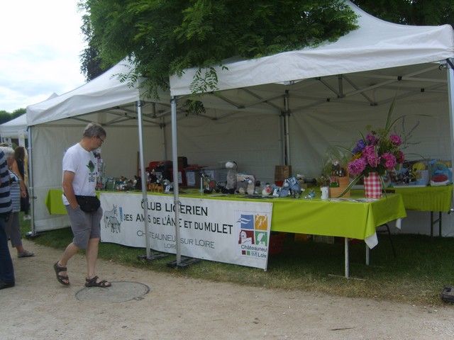 fete 2016 (61).jpg